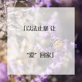 以法止暴 让“爱”回家