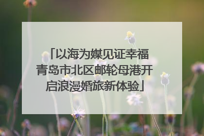 以海为媒见证幸福 青岛市北区邮轮母港开启浪漫婚旅新体验