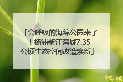 会呼吸的海绵公园来了！杨浦新江湾城7.35公顷生态空间改造焕新