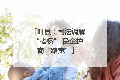 叶县：司法调解“搭桥” 稳企护商“路宽”