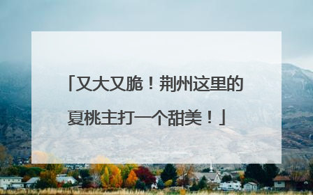 又大又脆！荆州这里的夏桃主打一个甜美！