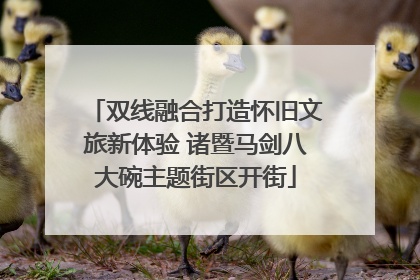双线融合打造怀旧文旅新体验 诸暨马剑八大碗主题街区开街