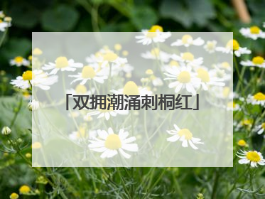 双拥潮涌刺桐红