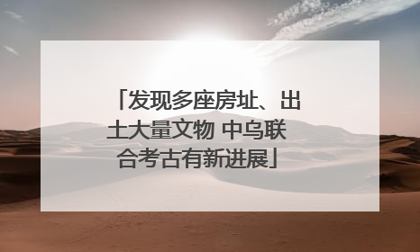 发现多座房址、出土大量文物 中乌联合考古有新进展