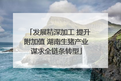 发展精深加工 提升附加值 湖南生猪产业谋求全链条转型