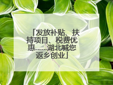 发放补贴、扶持项目、税费优惠……湖北喊您返乡创业