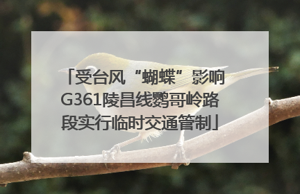 受台风“蝴蝶”影响 G361陵昌线鹦哥岭路段实行临时交通管制