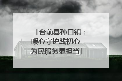 台前县孙口镇：暖心守护践初心 为民服务显担当
