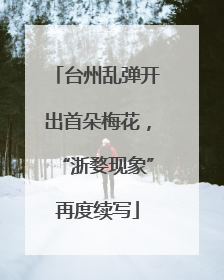 台州乱弹开出首朵梅花，“浙婺现象”再度续写