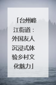 台州峰江街道：外国友人沉浸式体验乡村文化魅力