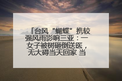 台风“蝴蝶”携较强风雨影响三亚：一女子被树砸倒送医，无大碍当天回家 当地已紧急清障