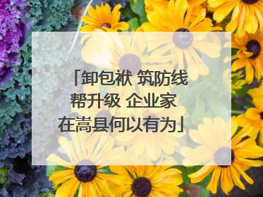 卸包袱 筑防线 帮升级 企业家在嵩县何以有为