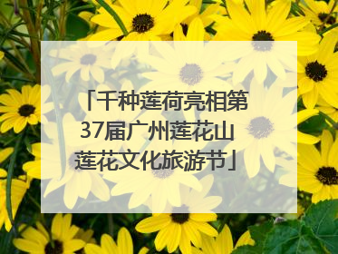 千种莲荷亮相第37届广州莲花山莲花文化旅游节
