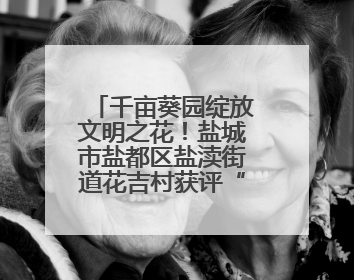 千亩葵园绽放文明之花！盐城市盐都区盐渎街道花吉村获评“全国文明村”