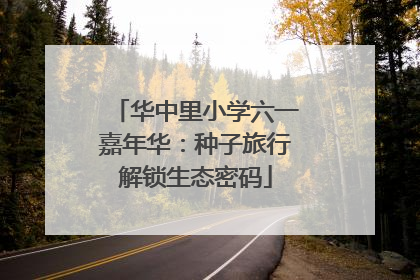 华中里小学六一嘉年华：种子旅行解锁生态密码