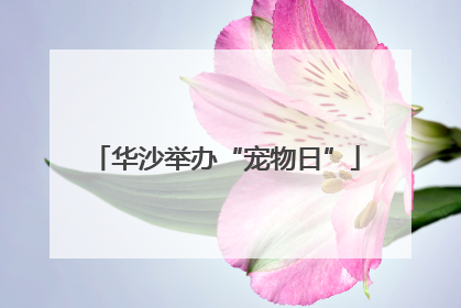 华沙举办“宠物日”