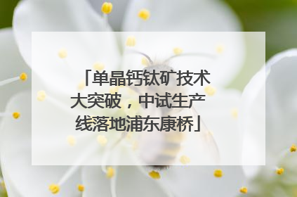 单晶钙钛矿技术大突破，中试生产线落地浦东康桥