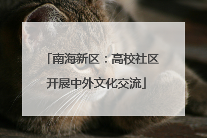 南海新区：高校社区开展中外文化交流