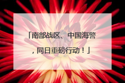 南部战区、中国海警，同日重磅行动！