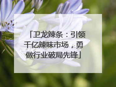卫龙辣条：引领千亿辣味市场，勇做行业破局先锋