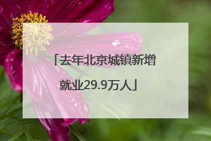 去年北京城镇新增就业29.9万人