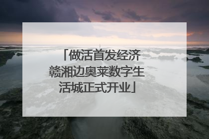 做活首发经济 赣湘边奥莱数字生活城正式开业