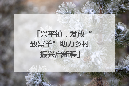 兴平镇：发放“致富羊”助力乡村振兴启新程