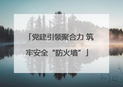 党建引领聚合力 筑牢安全“防火墙”