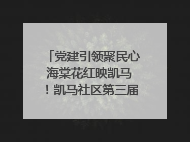 党建引领聚民心 海棠花红映凯马！凯马社区第三届邻里生活节谱写幸福新篇章