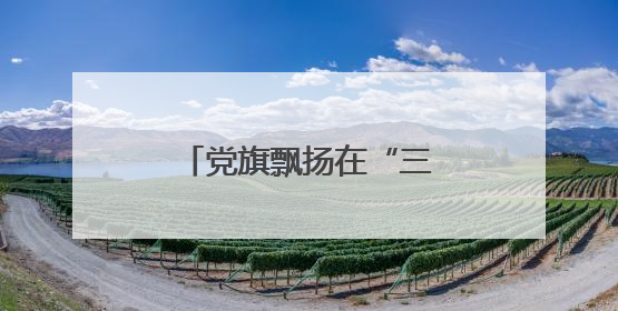 党旗飘扬在“三夏”一线——宛城区溧河街道党群合力筑牢禁烧防线