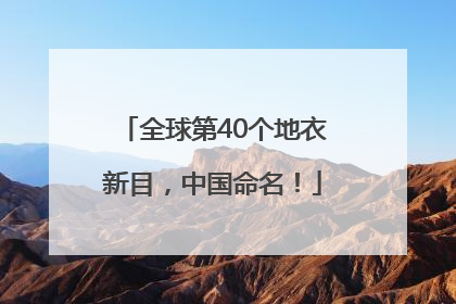 全球第40个地衣新目，中国命名！