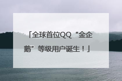全球首位QQ“金企鹅”等级用户诞生！