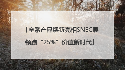 全系产品焕新亮相SNEC展 领跑“25%”价值新时代