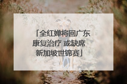 全红婵将回广东康复治疗 或缺席新加坡世锦赛