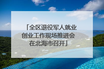 全区退役军人就业创业工作现场推进会在北海市召开