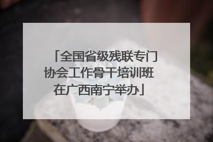 全国省级残联专门协会工作骨干培训班在广西南宁举办