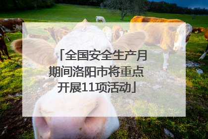 全国安全生产月期间洛阳市将重点开展11项活动
