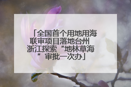 全国首个用地用海联审项目落地台州 浙江探索“地林草海”审批一次办