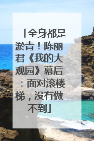 全身都是淤青！陈丽君《我的大观园》幕后：面对滚楼梯，没有做不到