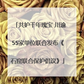 共护千年瑰宝 川渝55家单位联合发布《石窟联合保护倡议》