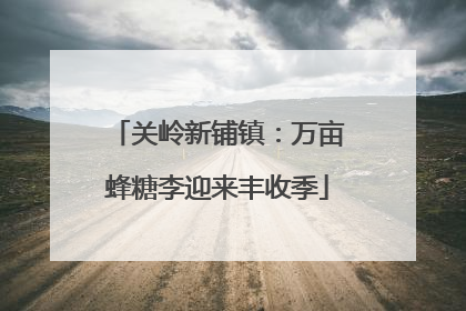 关岭新铺镇：万亩蜂糖李迎来丰收季