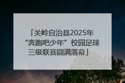 关岭自治县2025年“奔跑吧少年”校园足球三级联赛圆满落幕