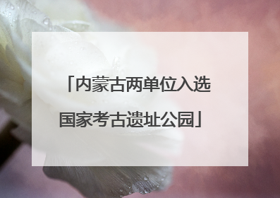 内蒙古两单位入选国家考古遗址公园