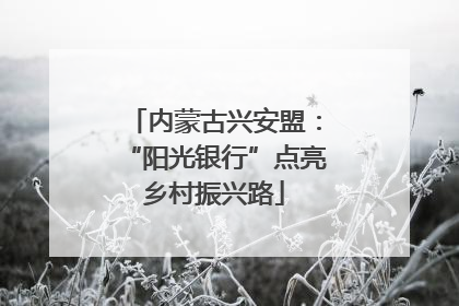 内蒙古兴安盟：“阳光银行”点亮乡村振兴路