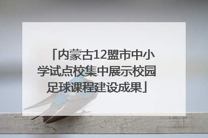 内蒙古12盟市中小学试点校集中展示校园足球课程建设成果