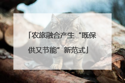 农旅融合产生“既保供又节能”新范式
