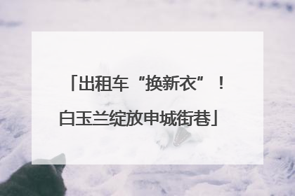 出租车“换新衣”！白玉兰绽放申城街巷