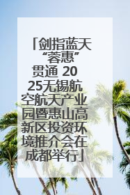 剑指蓝天 “蓉惠”贯通 2025无锡航空航天产业园暨惠山高新区投资环境推介会在成都举行