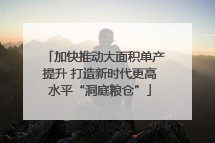 加快推动大面积单产提升 打造新时代更高水平“洞庭粮仓”