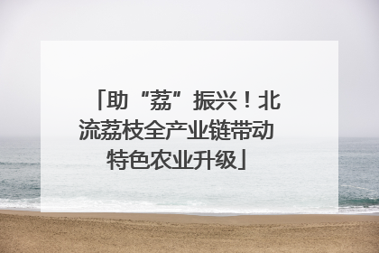 助“荔”振兴！北流荔枝全产业链带动特色农业升级